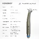 Kaneiko Model 100 info details.webp
