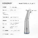 Kaneiko Model C100 info details.webp